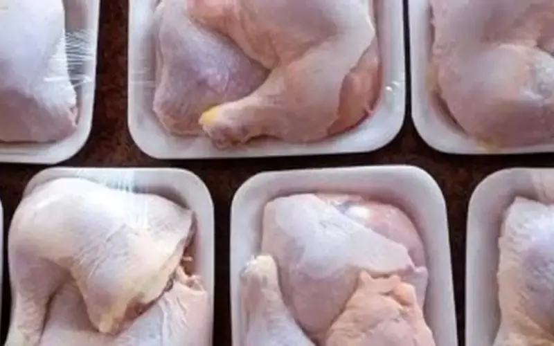 أسعار الدواجن بأسواق مطروح اليوم السبت 11-4-2026.. كيلو الوراك بـ115 جنيها